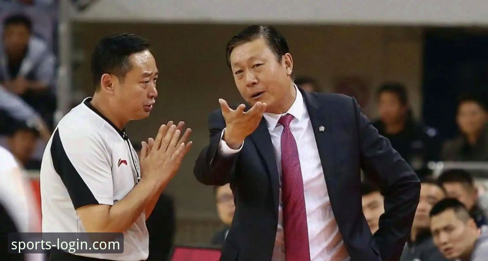 揭秘上海男篮十二连胜背后的战术数据与平台观赛新体验